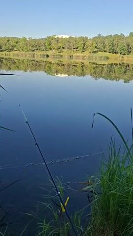A fishing rod is placed in a rod holder on the grassy bank of a calm lake. The water is dark and still, reflecting the trees and a white structure on the far bank. The sky is clear and blue. The sun is shining, casting light on the scene.