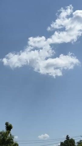 The video shows a view of the sky on a clear, sunny day. There are fluffy, white cumulus clouds scattered across the blue sky. In the distance, a small, dark object resembling a bird or an airplane is flying. At the bottom of the frame, there are some green trees and vegetation, suggesting an outdoor, possibly suburban, setting. Power lines are also visible.