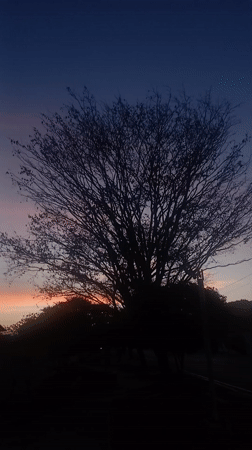 Sunset documented in Juan Griego, Venezuela with discarded baseball