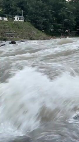This media file captures a fast-flowing river, likely in or near Kamennomostsky, Russia. The water is turbulent and foamy, suggesting a strong current, possibly due to recent rainfall or snowmelt. The camera appears to be moving with the water, creating a sense of motion and immediacy.

In the background, on the left side of the frame, there is a hillside with some vegetation and what appears to be a small white building with a light-colored roof. Further back, a dense line of trees forms the backdrop. On the right side of the frame, more trees are visible, and in the distance, rolling hills can be seen against a sky that transitions from a light grey to a soft pink, indicating either sunrise or sunset.

The overall mood is one of natural power and a sense of being immersed in the flow of the river. The motion blur of the water adds to the dynamic feel of the scene. There is no visible text in the media file. The weather appears to be overcast, contributing to the muted colors of the landscape, but the sunset/sunrise hues in the sky suggest a break in the clouds. The presence of the building on the hillside hints at human proximity to this wild natural setting.