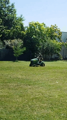 Mowing and blooms: a summer garden morning near Bucharest