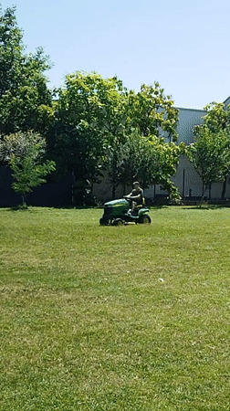 Mowing and blooms: a summer garden morning near Bucharest