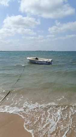 Small boats and coastal life observed at Villa Marina