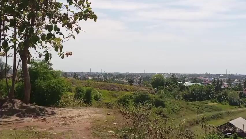 The video begins with a wide shot of a landscape under a bright sky with scattered clouds. In the foreground, to the left, is a large tree with rough bark and sparse leaves, casting shadows on the dry, dirt ground. The camera pans slowly to the right, revealing a rolling hillside covered in green vegetation and some patches of bare earth. Beyond the hill, a town or city stretches out in the distance, characterized by numerous buildings with red and orange roofs, some taller structures like telecommunication towers, and lush green trees interspersed throughout. In the mid-ground, a body of water, possibly a pond or small lake, is visible with a wooden structure built over it, featuring a thatched roof. More trees, including palm trees, and smaller buildings are scattered across the landscape leading up to the distant town. The overall environment appears to be a rural or semi-urban area with a mix of natural and man-made elements. There are no people visible in the video.