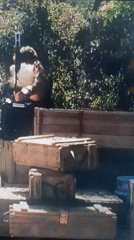 Person works among wooden crates in Tinaquillo, Venezuela