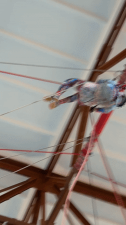 Youth climbing training session held at Berezniki gymnasium