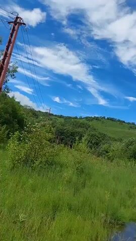 The video shows a slightly blurry, handheld view of a natural landscape. The scene is dominated by lush green grass in the foreground, which appears to be tall and somewhat overgrown. In the middle ground, there is a dense line of trees and vegetation covering rolling hills. Above the trees, a bright blue sky is visible, dotted with fluffy white clouds that are stretched and wispy in some areas. There are also power lines and utility poles visible, indicating human infrastructure within the natural setting. The camera appears to be moving slightly, giving a sense of walking or driving through the area. The lighting suggests it is daytime, likely sunny, with the sun illuminating the landscape and creating a bright atmosphere. There are no people or animals visible in the frame.
