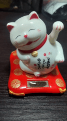 Person photographs lucky cat figurine in Cuernavaca