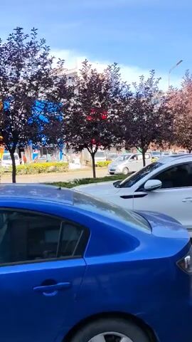 The video shows a blue Mazda sedan parked on a brick surface. A white SUV, possibly a Chery Tiggo, is parked next to it. In the background, there are trees with dark foliage, buildings, and other vehicles on a street. The sky is visible and appears to be daytime with some clouds.