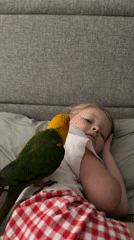 Girl plays with pet parrot during early morning in Khimki
