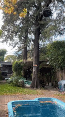 Young man films leaf-covered pool in Argentine backyard