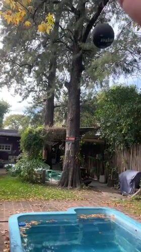 Young man films leaf-covered pool in Argentine backyard