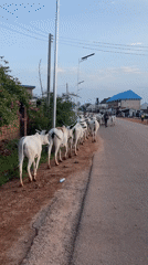 Ordinary moments captured across Nigerian Plateau State communities