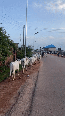 Ordinary moments captured across Nigerian Plateau State communities