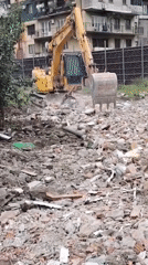 Morning life in Batumi: construction work, resting dog, vendor