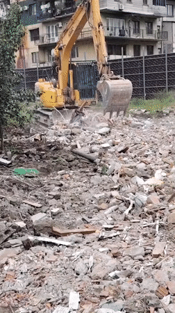 Morning life in Batumi: construction work, resting dog, vendor