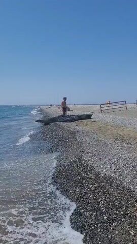 A person wearing dark swim trunks walks along a pebble beach towards a long, dark, narrow object lying on the sand near the water's edge. The person pauses and bends over the object, which appears to be a canoe or kayak. The sky is clear and blue.