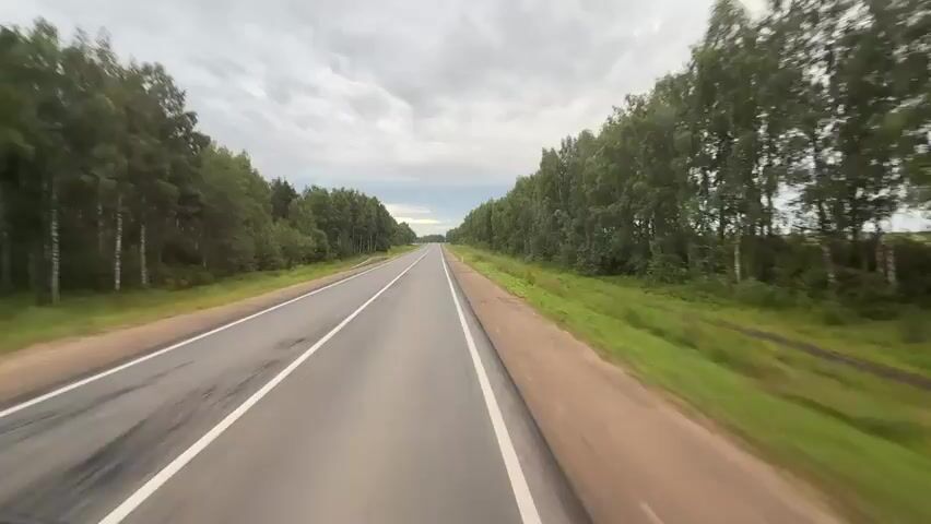 The video shows a first-person perspective driving down a paved two-lane road bordered by dense green trees on both sides. The sky is cloudy and overcast. The road has white lane markings. The camera appears to be mounted low, close to the road surface, giving a sense of speed and motion. The environment is rural, with no visible buildings or other vehicles.