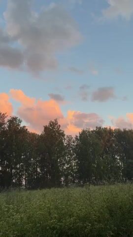 This media file depicts a serene natural landscape at dusk in Lembolovo Park DNP, Russia. The scene is dominated by a lush green field in the foreground, filled with tall grasses and white wildflowers, suggesting a peaceful, untouched natural environment.

Behind the field, a dense line of dark green trees forms a natural border, creating a sense of depth and framing the sky. The trees appear to be a mix of deciduous and coniferous, with some taller pines standing out among the broader foliage.

The sky is the most dynamic element, painted with the warm hues of a setting sun. Large, fluffy clouds are illuminated with vibrant shades of pink and orange, contrasting with the soft blue of the upper sky and the darker, grey clouds that drift higher. The light filtering through the clouds creates a dramatic and beautiful effect, casting a warm glow over the scene.

The time of day is clearly evening, as indicated by the soft, warm lighting and the colorful sunset clouds. The weather appears to be fair, with the clouds suggesting a pleasant, calm atmosphere rather than any impending storm. There are no people or man-made objects visible, reinforcing the feeling of a natural, tranquil setting. The overall emotion conveyed is one of peace, beauty, and the quiet grandeur of nature at the end of the day. No visible text is present in the media file.