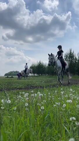 A young woman in a helmet and dark clothing rides a dappled grey horse through a grassy field dotted with dandelions. The horse is walking to the right. In the background, several other people on horseback are visible. The sky is partly cloudy.