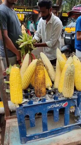 The video shows a street vendor selling corn on the cob. The vendor, a man with a beard, is arranging several cobs of corn on a blue plastic crate. Some of the corn is yellow and appears to be roasted, with darker charred patches. Other cobs are lighter in color and appear to be raw. Behind the vendor, a young man in a blue t-shirt is tending to a large pot over a fire. A pile of unhusked corn is visible in front of the pot. In the background, there is a food stall with a sign that says "Maggi Zone." There are other people and vehicles in the background, suggesting a busy street environment.