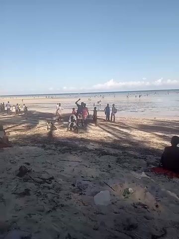 The video shows a beach with many people. The sky is blue and the water is shallow with many people wading in it. On the beach a group of people are dancing, and other people are sitting or standing around. Some seaweed and trash are on the sand.