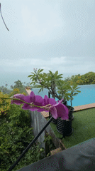 Heavy rainstorm hits Ko Samui coastal area with winds