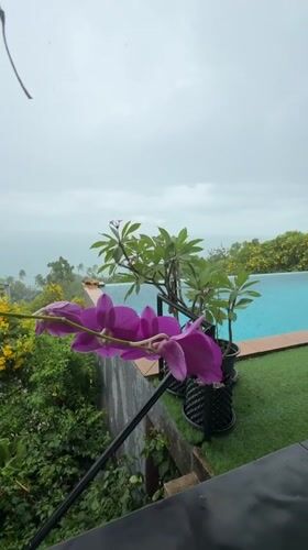 Heavy rainstorm hits Ko Samui coastal area with winds