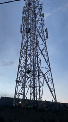 Birds gather on Lagos telecommunications tower during evening hours