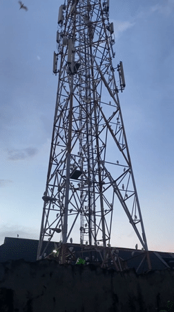 Birds gather on Lagos telecommunications tower during evening hours