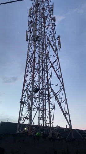 Birds gather on Lagos telecommunications tower during evening hours