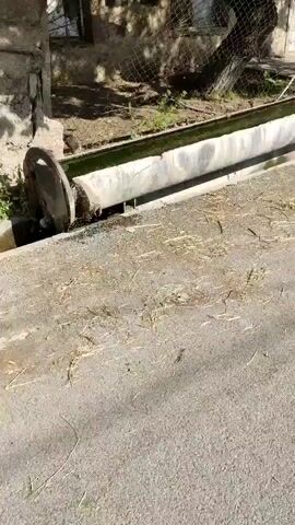 A video shows a long, trough-like structure made of concrete with a metal pipe protruding from one end. Water appears to be flowing into the trough from the pipe, and some water is spilling over the sides. The trough is situated outdoors, next to a building with a chain-link fence. The ground around the trough is covered in dirt and straw. The video is shaky and appears to be filmed by someone walking or moving.