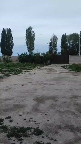 A video taken from a slightly elevated, stationary camera angle shows an outdoor scene. The foreground is a dirt and gravel path leading towards a dark, gated entrance. On either side of the path are patches of sparse vegetation and some scattered debris. Tall, slender trees line the background behind a low wall and bushes. A brick wall and a dark metal gate are visible in the middle ground. Further back, more trees and a distant fence can be seen. The sky is overcast and a pale gray, with a faint, small white moon visible in the upper right quadrant. The overall impression is that of an undeveloped or rural area, possibly near a property boundary. There are no people or vehicles visible.