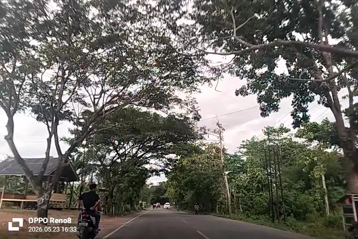 The video shows a road with trees on both sides under an overcast sky. The video appears to be taken from a moving vehicle. There are a few other cars on the road. At the beginning of the video, a person is visible on the left side of the road. A white tent-like structure is visible further down the road. The video includes a watermark for an OPPO Reno 8 mobile phone, indicating the date and time of recording as 2026.05.23 16:33.