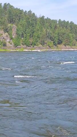 The video shows a wide, fast-flowing river with choppy water. The riverbank on the far side is lined with green trees and dotted with large rocks. The sky is clear and blue. There are no people or man-made objects visible in the video.