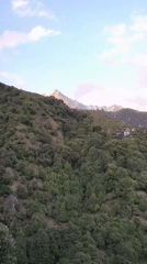 Hikers traverse mountain trails near Haini, India amid goats