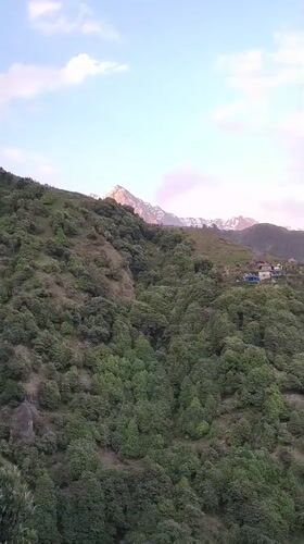 Hikers traverse mountain trails near Haini, India amid goats