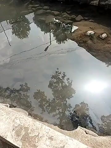 A slow-motion video shows a body of water that appears to be a small canal or stream. The water is murky and reflects the surrounding environment, including trees, a fence, and a street lamp. Stones line the banks of the watercourse. The sun shines brightly, creating glares on the water's surface. The video is shot from a slightly elevated perspective, looking down into the water.