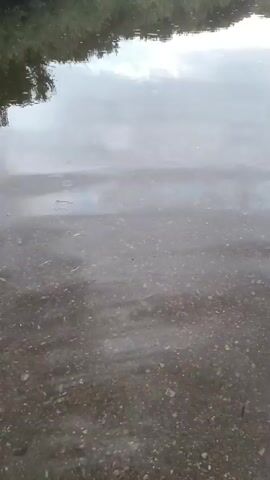 The video shows a close-up of shallow, clear water with a gravelly bottom. The water appears to be disturbed, with ripples and splashes visible, indicating that something is falling into it. The reflections on the surface suggest an overcast sky or surrounding foliage. The camera is held at an angle, looking down into the water.