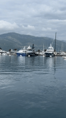 Morning harbor activity observed in Tivat, Montenegro