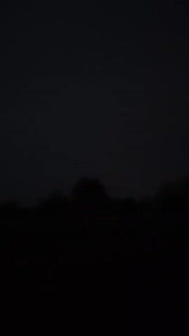 The video is extremely dark and shows a silhouetted treeline against a dark sky. There are no discernible people or objects and no action or interaction is visible. The environment appears to be outdoors at night or in very low light conditions.