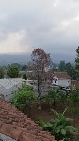 The video shows a view from a tiled roof overlooking a village scene. In the foreground, red roof tiles are visible. Behind the roof, there are trees and houses with terracotta roofs. A tall, bare tree with some brown leaves stands in the middle ground. In the distance, a blue-domed building is visible, along with rolling hills covered in mist or clouds under an overcast sky. The overall impression is a rural landscape at dawn or dusk.