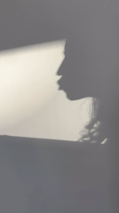 Person's profile shadow captured on wall in Podgorica