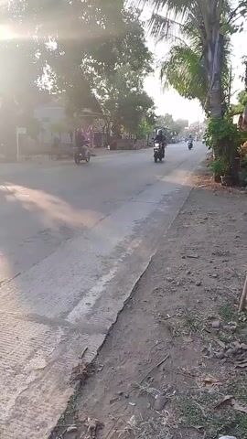 A motorbike is seen riding down a road. The road is paved and has a dirt shoulder. There are trees and houses on either side of the road. The sun is shining brightly, casting long shadows.