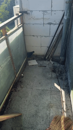 Pigeon nest with three hatchlings found on Burgas balcony