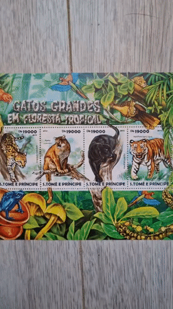 Tropical stamp collection documented in Bulgaria early morning hours