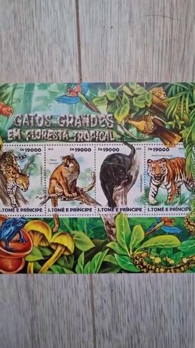 Tropical stamp collection documented in Bulgaria early morning hours