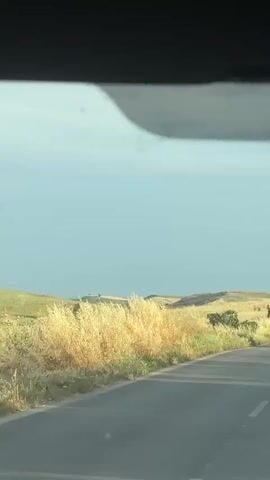 From inside a vehicle, a view of a paved road is visible. The road has a double yellow line down the center. Golden, dry grass and a few small green trees line the side of the road. The sky is light blue with a small cloud visible in the upper center of the frame. Two cars pass by in the opposite direction.