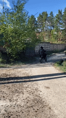 Rural life documented in Noviy: dirt biking, cats, countryside