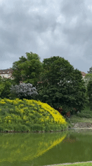 Afternoon moments captured in historic Tallinn park with sculptures